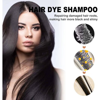 Silcy Skin EELHOE brown hair dyeing shampoo for lasting color and nourished, shiny hair on Tampa Home & Garden Store