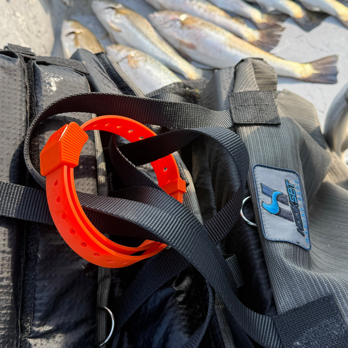 Gear Straps 24-Inch by Hoss Straps with black nylon straps and orange buckle on Tampa Home & Garden Store