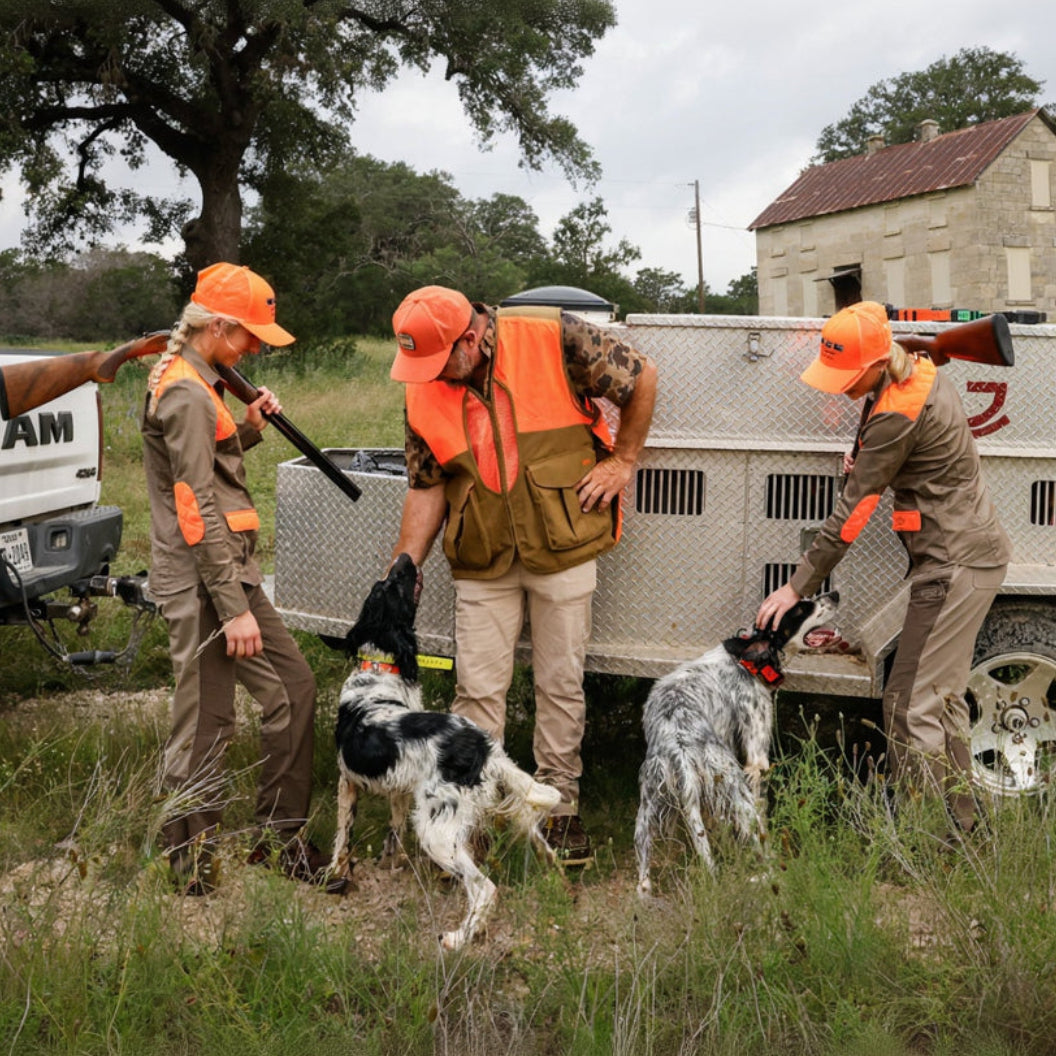 Training Collar Setup Hoss Straps hunting dog collars with three handlers and two dogs by trailer on Tampa Home & Garden Store