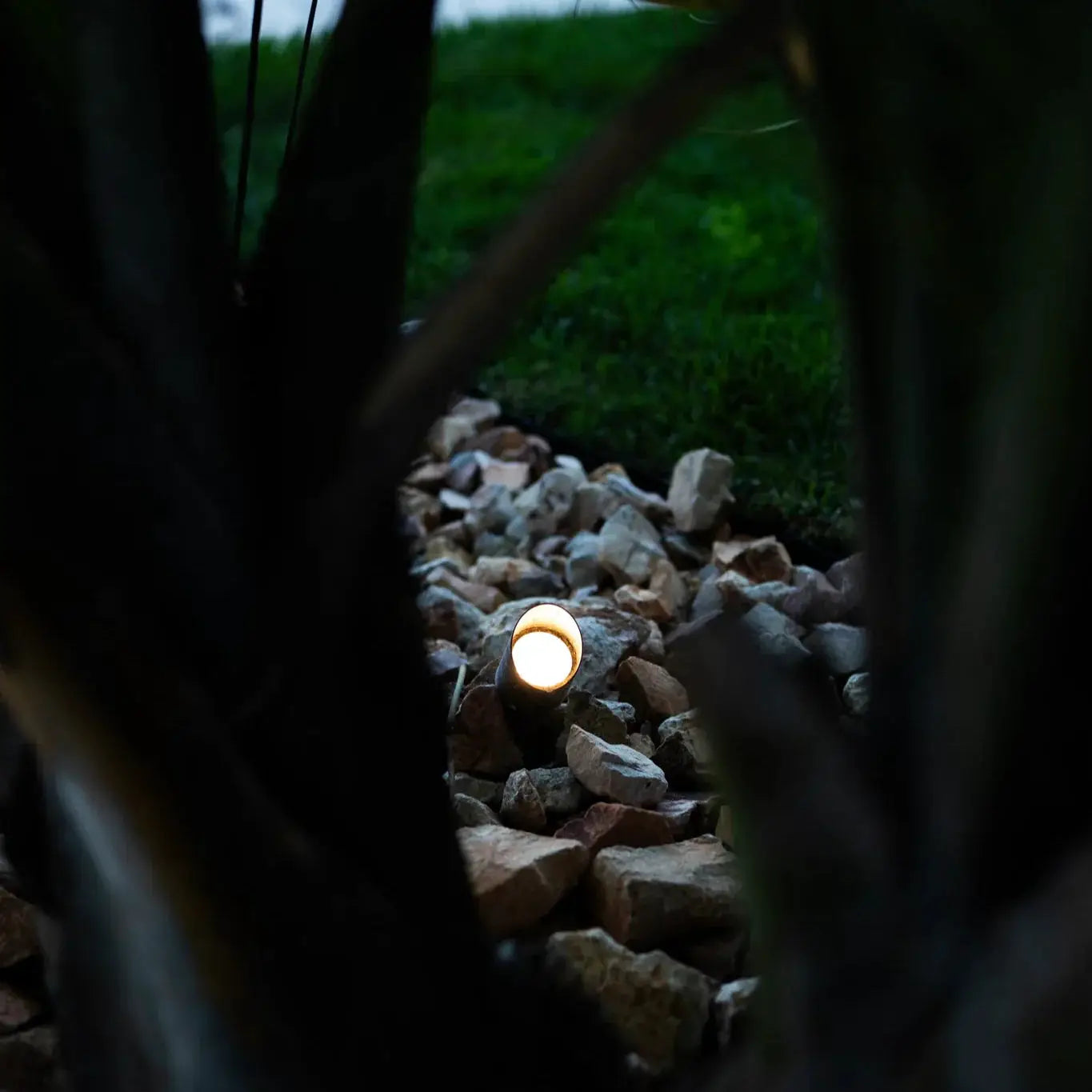 Brown brass outdoor spotlight low voltage Kings Outdoor Lighting landscape lighting on Tampa Home & Garden Store