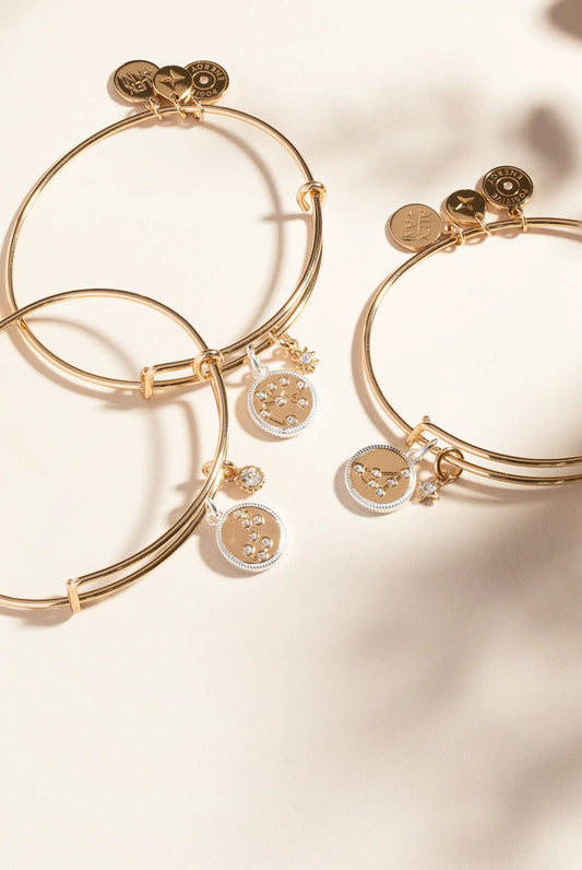 Capricorn Zodiac Charm Bangle set of gold-tone bracelets by ALEX AND ANI with zodiac charms on Tampa Home & Garden Store