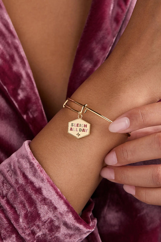 Sleigh All Day Charm Bangle by ALEX AND ANI, rose-gold tone double-band bracelet with hex charm on Tampa Home & Garden Store