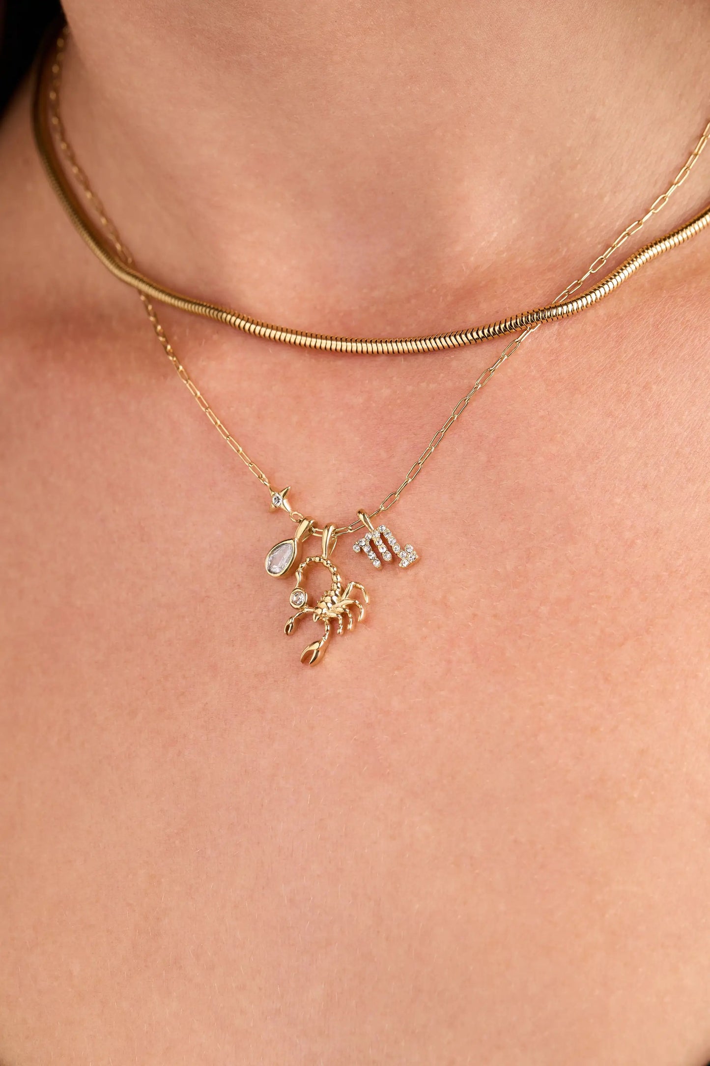 Scorpio Zodiac Charm Cluster Necklace by ALEX AND ANI, gold-tone chain with zodiac charms on Tampa Home & Garden Store