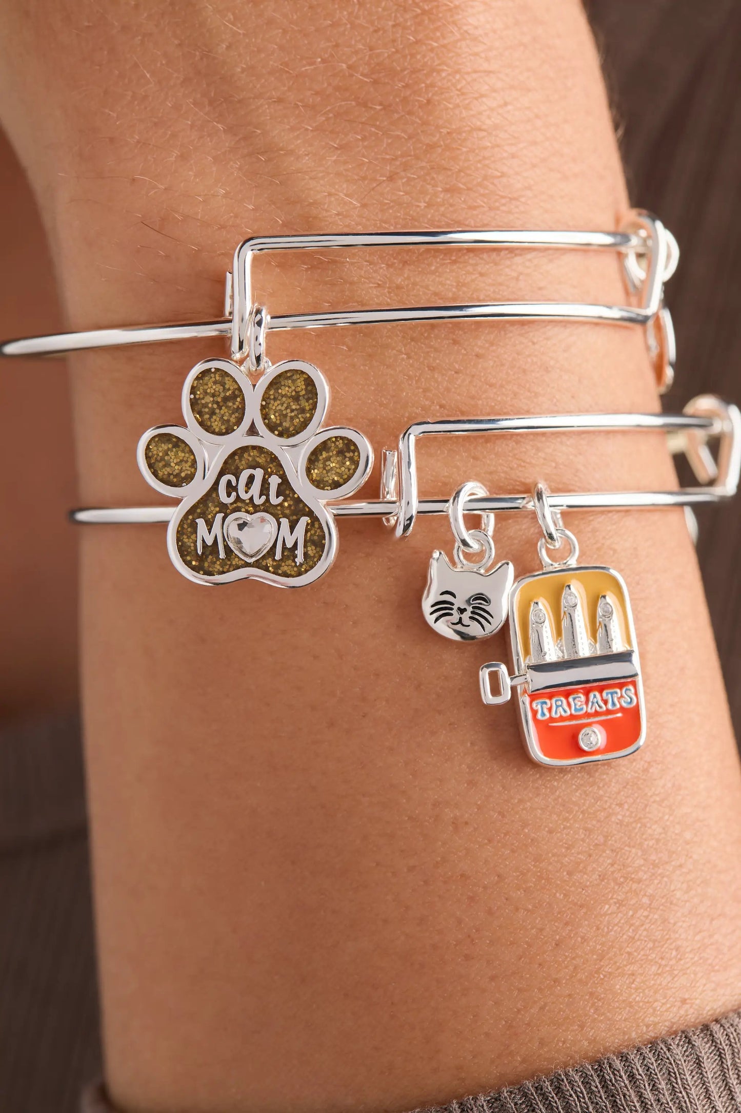 Cat and Sardine Tin Duo Charm Bangle Jewelry