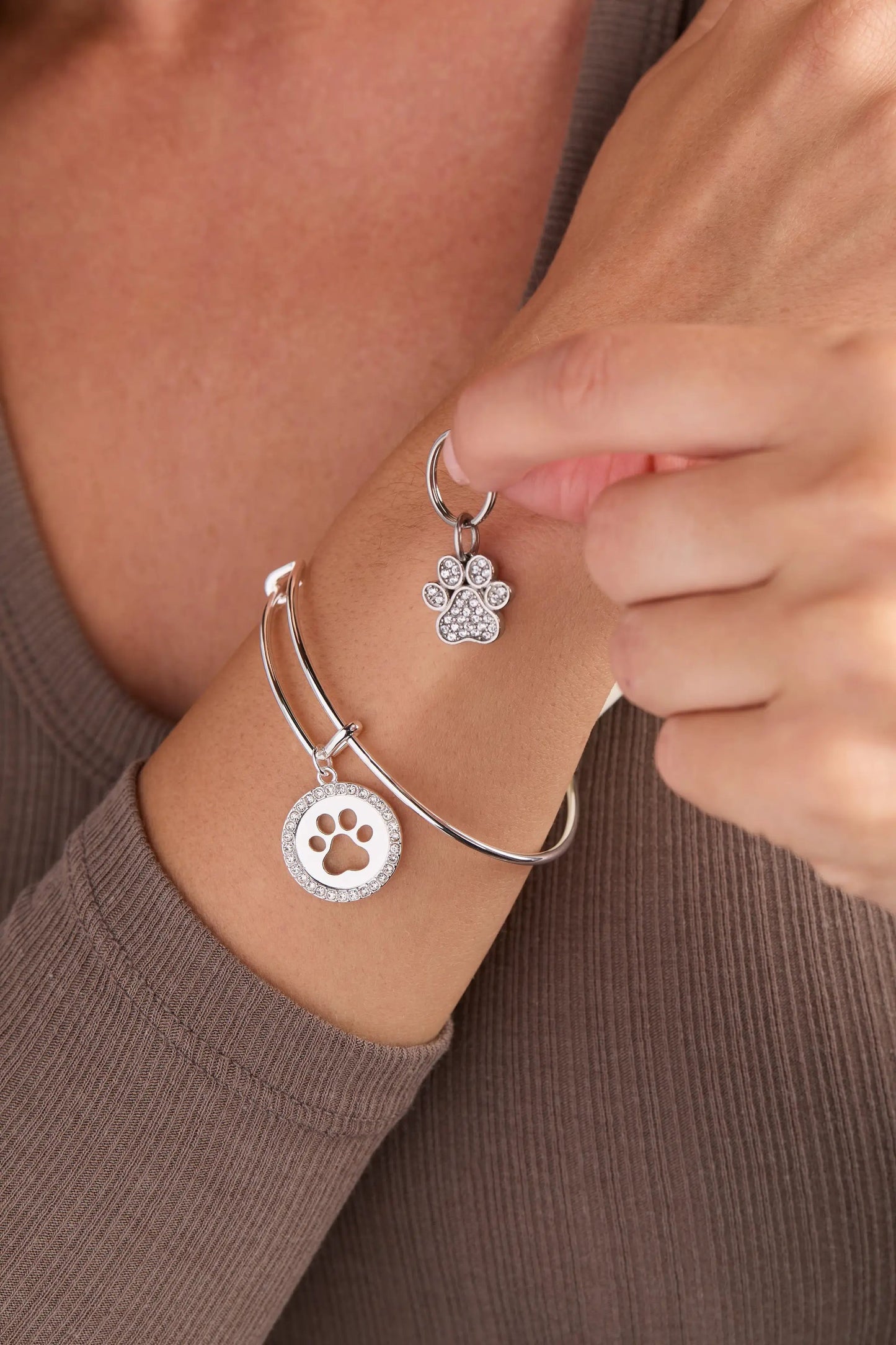 Paw Print Bangle and Pet Collar Charm Set