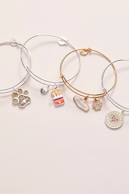 Cat and Sardine Tin Duo Charm Bangle Jewelry