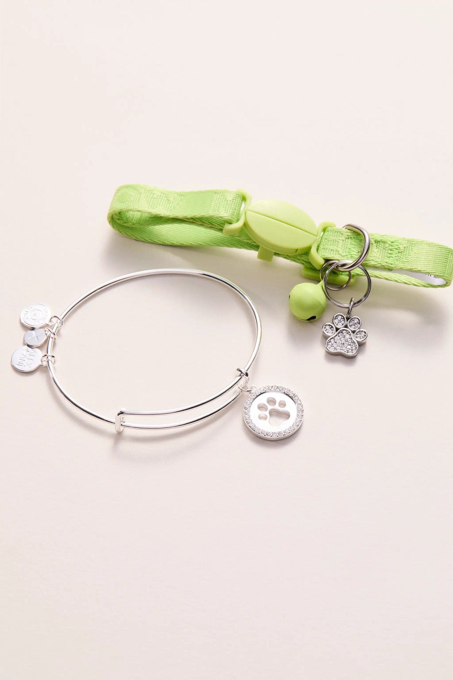 Paw Print Bangle and Pet Collar Charm Set