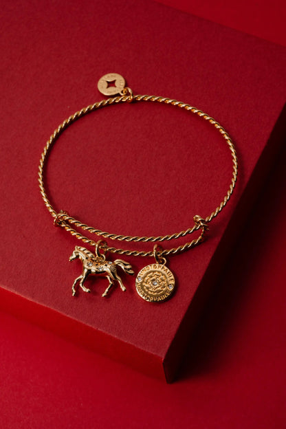 Horse Girl Rope Textured Charm Bangle with horse charm and engraved disc ALEX AND ANI on Tampa Home & Garden Store