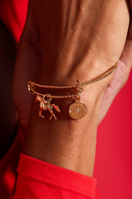 Horse Girl Rope Textured Charm Bangle by ALEX AND ANI, gold-tone rope bracelet with horse charm on Tampa Home & Garden Store