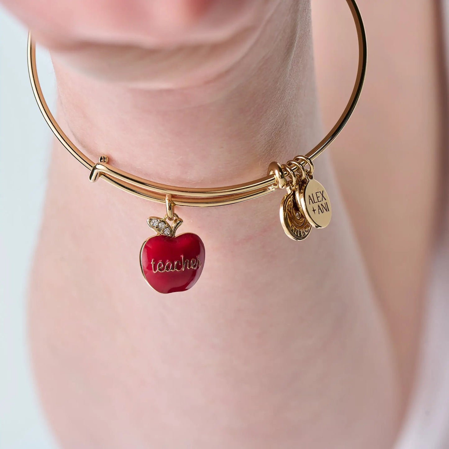 Teacher Apple Charm Bangle Gift for Educators
