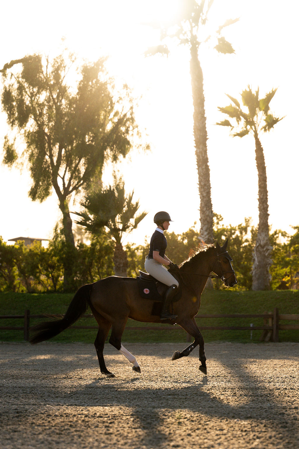 OLIVIA Show Shirt navy riding show shirt by BellEq Equestrian Apparel on Tampa Home & Garden Store