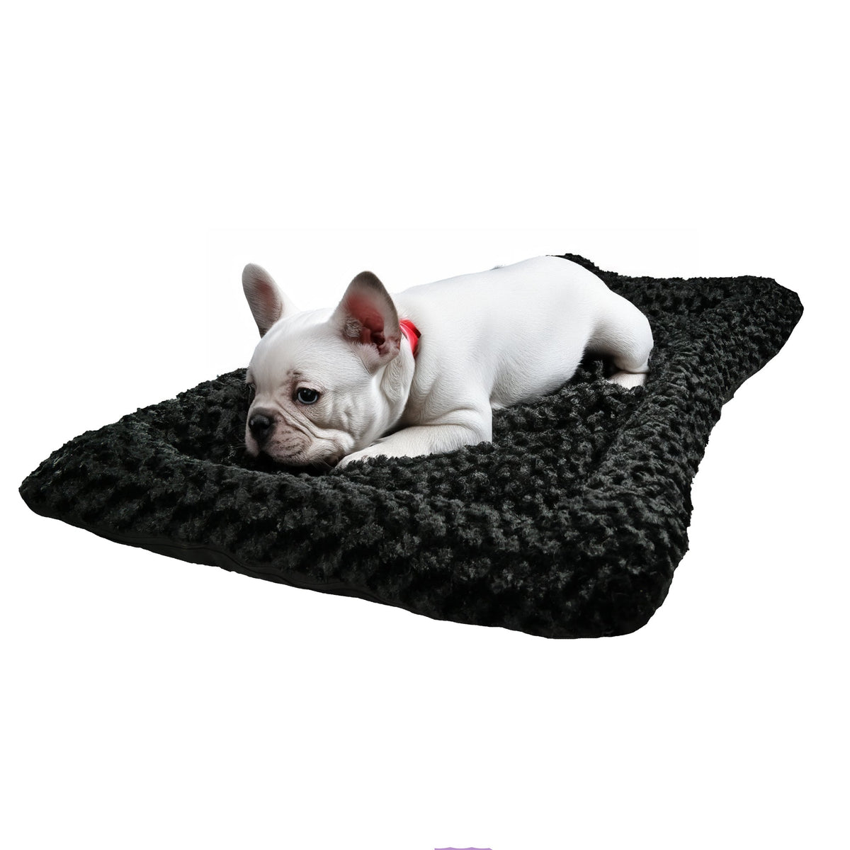 Dog Bed - Rectangle Bolstered Furvana Cloud in black plush with white puppy on Tampa Home & Garden Store