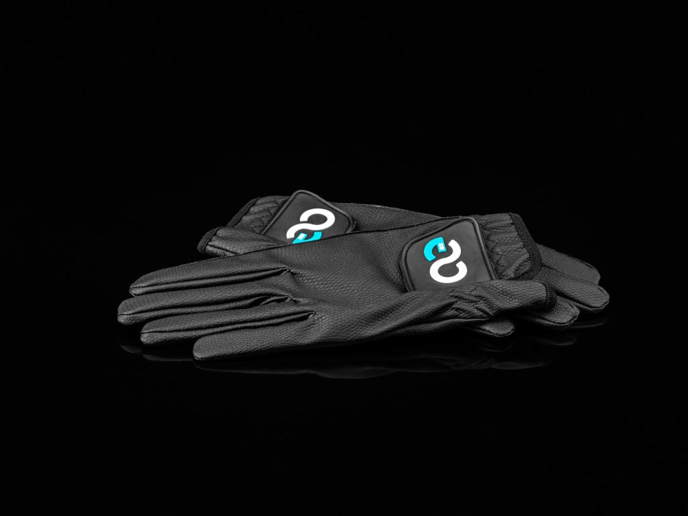 American Equus black leather riding gloves, ultra-thin EquiFeel, logo patches, pair on Tampa Home & Garden Store