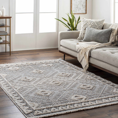 Agoo High-Low Pile Rustic Rug beige ivory geometric pattern Boutique Rugs in living room on Tampa Home & Garden Store