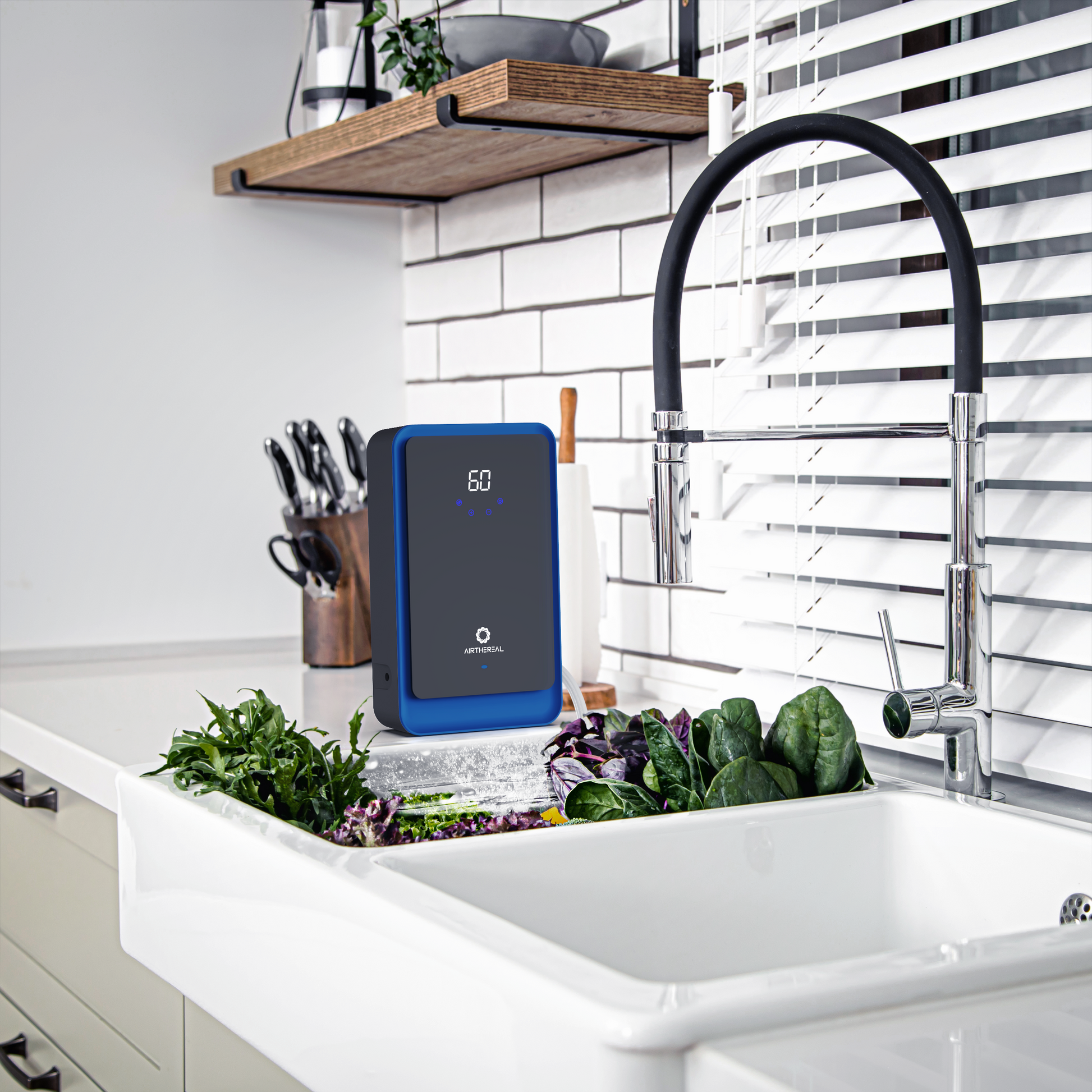 AH1000 Water Ozone Generator - Tampa Home & Garden Store