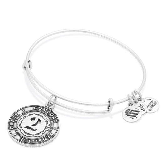 Number 2 charm bracelet by Alex and Ani in silver tone with multiple round engraved charms on a slim bangle on Tampa Home & Garden Store