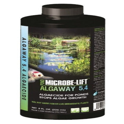 Microbe-Lift Algaway 5.4 pond algaecide bottle, black plastic container on Tampa Home & Garden Store