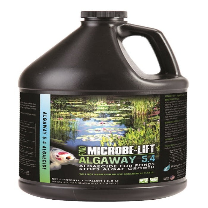 Microbe-Lift Algaway 5.4 liquid algaecide jug by Rivendell Distribution, black plastic 1 gal on Tampa Home & Garden Store