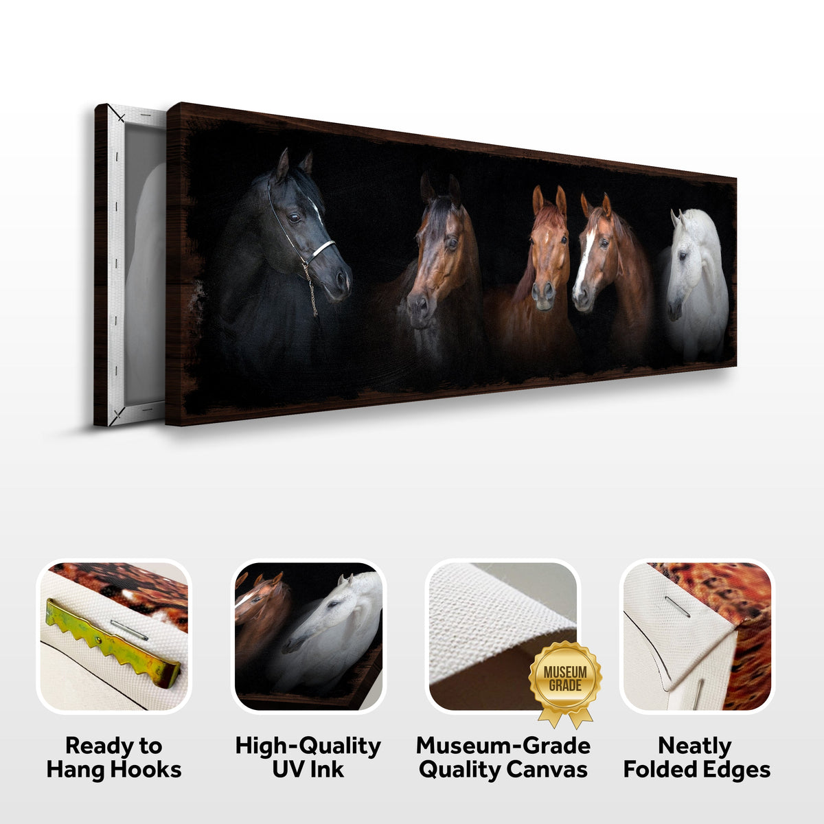 A Family Of Horses Canvas Wall Art Tailored Canvases five-horse lineup on dark background on Tampa Home & Garden Store