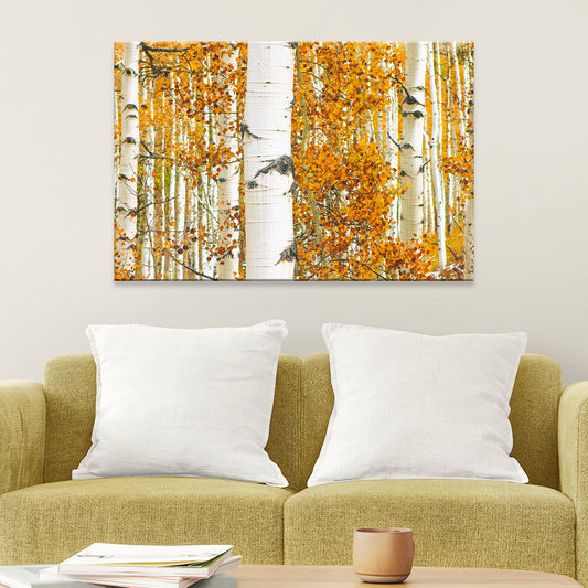 Autumn Tree Barks Canvas Wall Art white birch forest with orange autumn leaves Tailored Canvases on Tampa Home & Garden Store