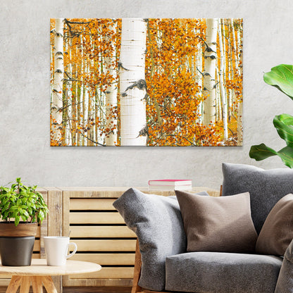Autumn Tree Barks Canvas Wall Art Tailored Canvases, birch trunks with orange leaves on Tampa Home & Garden Store