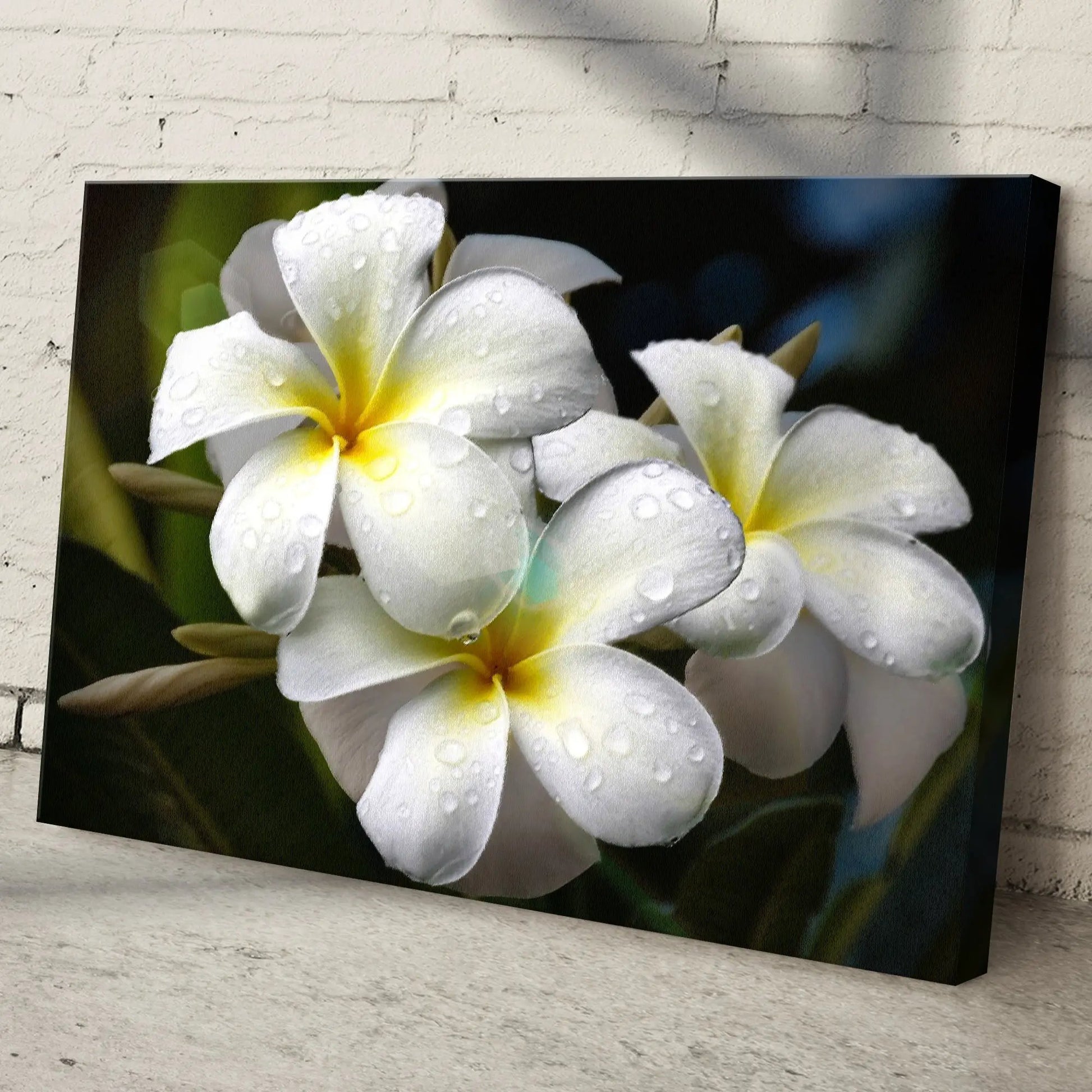 White frangipani flower canvas wall art by Tailored Canvases, crafting canvas on Tampa Home & Garden Store