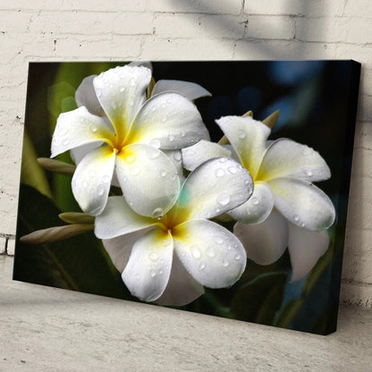 White frangipani flower canvas wall art by Tailored Canvases, crafting canvas on Tampa Home & Garden Store