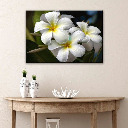 White frangipani canvas art by Tailored Canvases, closeup of white blooms with droplets on Tampa Home & Garden Store