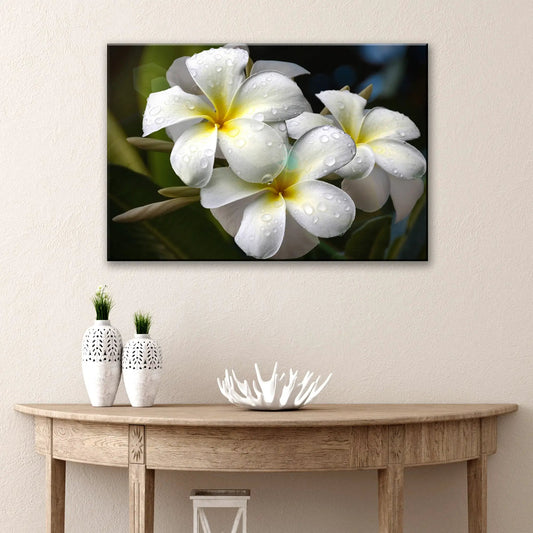 White frangipani canvas art by Tailored Canvases, closeup of white blooms with droplets on Tampa Home & Garden Store