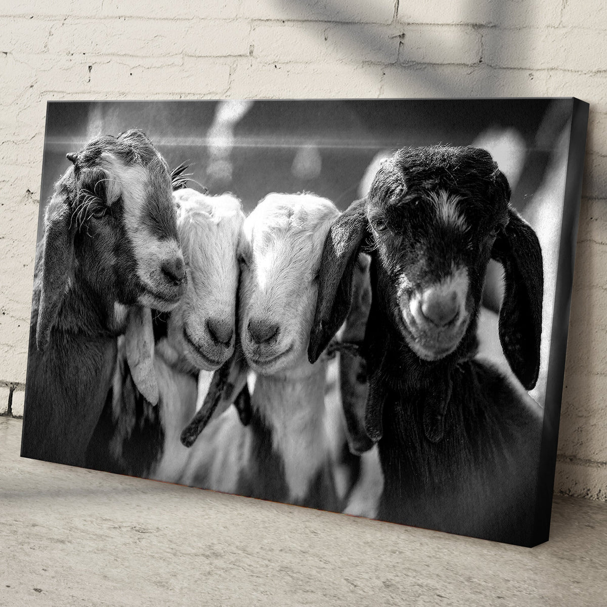 Black and white baby goats canvas wall art, grayscale crafting canvas print on Tampa Home & Garden Store