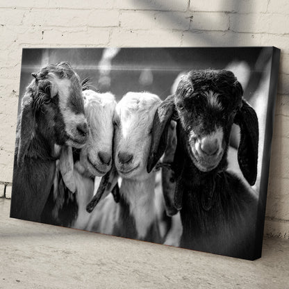 Black and white baby goats canvas wall art, grayscale crafting canvas print on Tampa Home & Garden Store