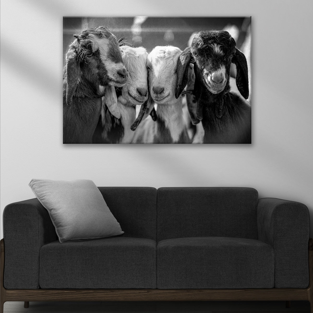 Black and white baby goats canvas wall art Tailored Canvases; trio close-up on crafting canvas on Tampa Home & Garden Store