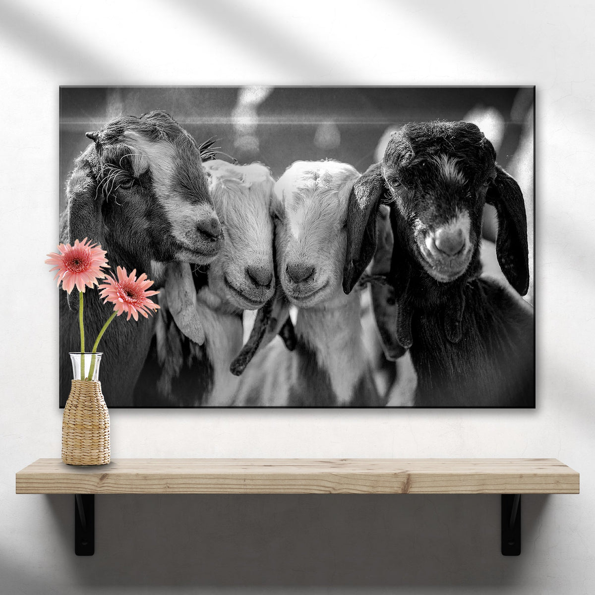 Black and white baby goats canvas wall art by Tailored Canvases featuring three goats on Tampa Home & Garden Store
