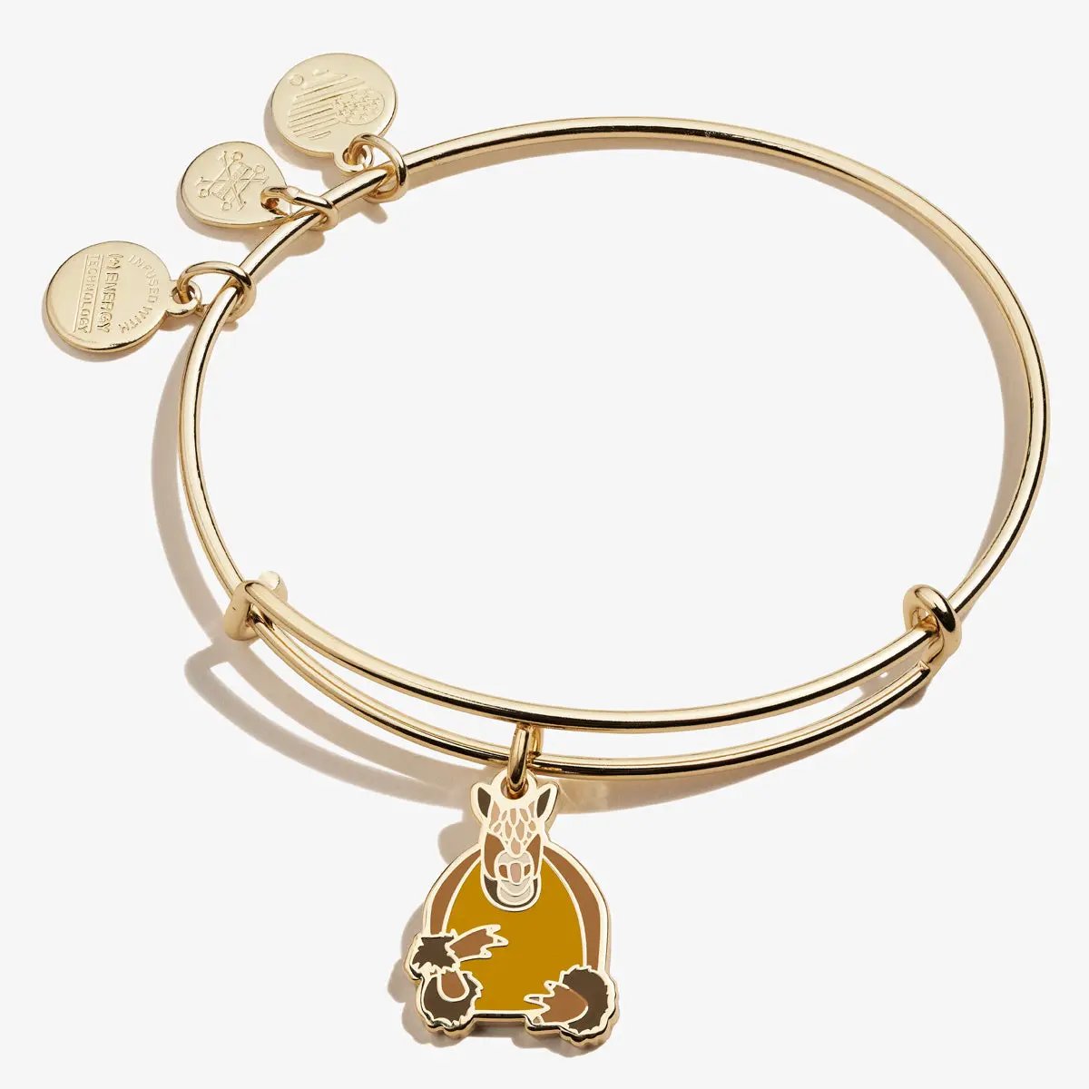 Friends Holiday Armadillo Charm Bangle and Fans