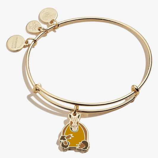 FRIENDS Armadillo Charm Bangle by ALEX AND ANI, gold-tone double-band bracelet with three discs on Tampa Home & Garden Store
