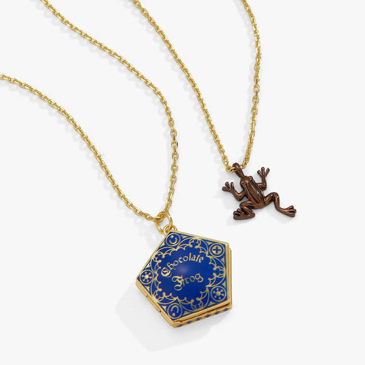 Harry Potter Chocolate Frog necklace set 2 with enamel pendant and frog charm on Tampa Home & Garden Store