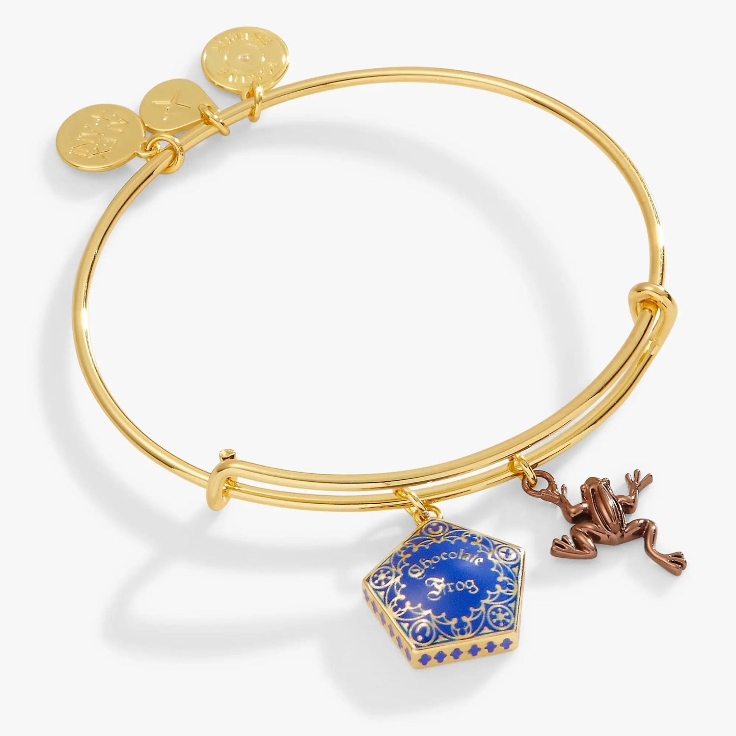 Harry Potter Chocolate Frog Two Charm Bangle