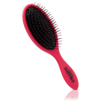 AquaShine Wet and Dry Soft Touch Paddle Brush