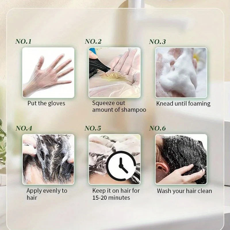 Silcy Skin Hair Dye Shampoo 3 in 1 black brown color with gray coverage six-step guide on Tampa Home & Garden Store