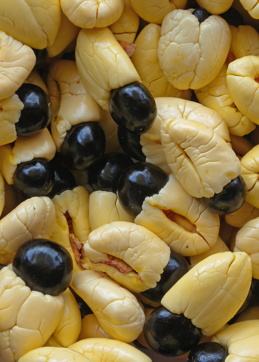 Ackee (Blighia sapida) - Tampa Home & Garden Store
