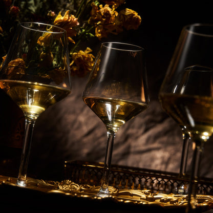 Barcelona Set of 4 Acrylic Stemless Wine Glasses