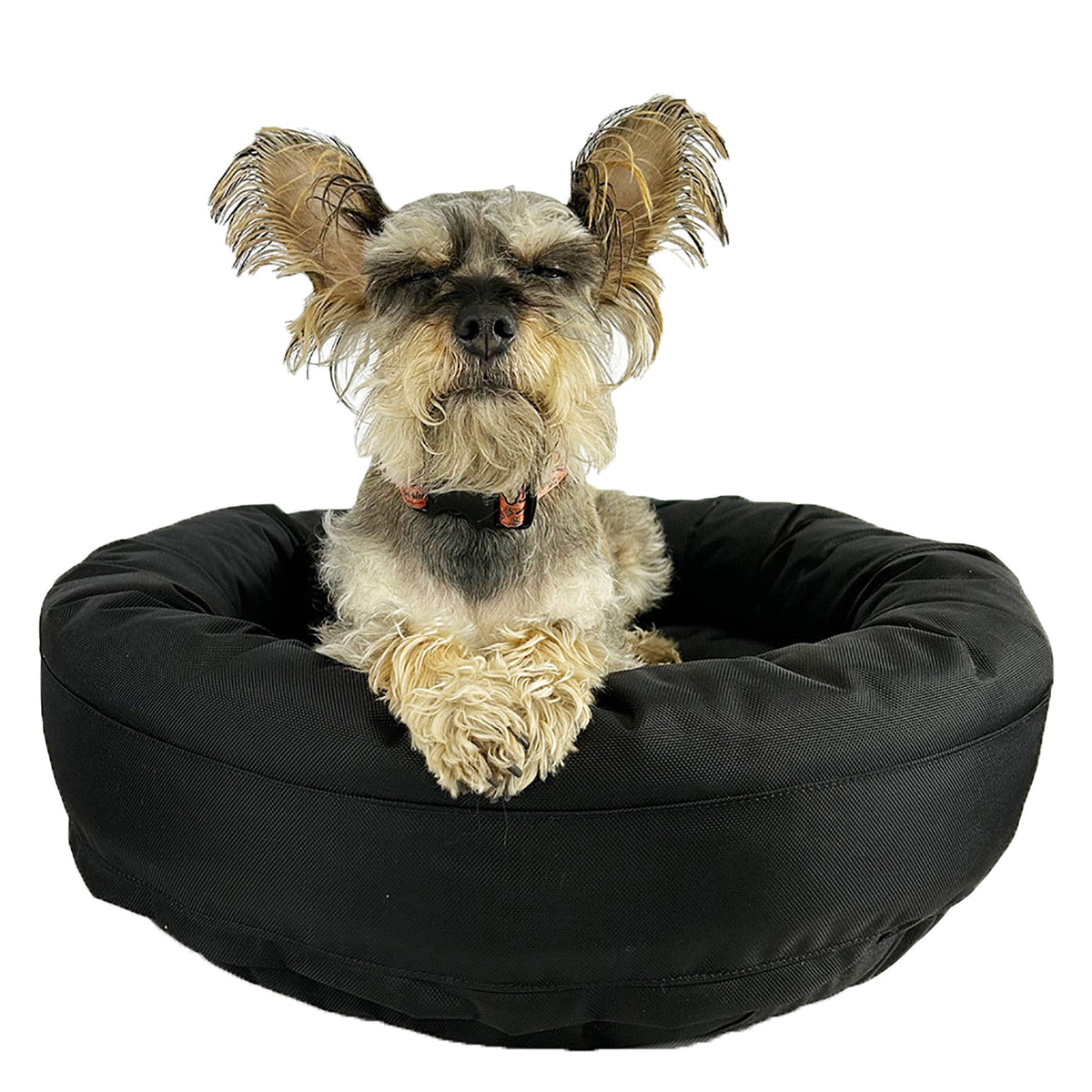 Dog Bed Round Bolstered Armor™ in black with a small dog in a round bed American Dog pet beds on Tampa Home & Garden Store