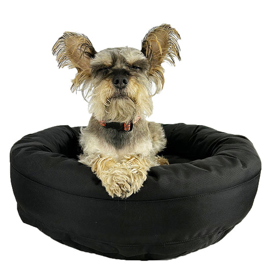 Dog Bed Round Bolstered Armor™ in black with a small dog in a round bed American Dog pet beds on Tampa Home & Garden Store