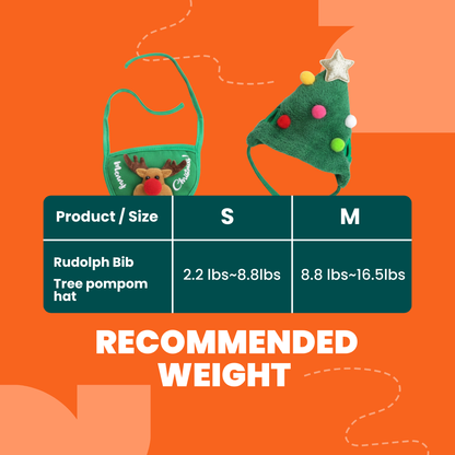 Adorable Christmas Tree Pom-Pom Hat - Tampa Home & Garden Store