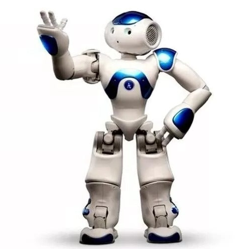 Advanced Humanoid AI Companion Robot for Adults with Multi-Sensory Interaction and Global Communication - Tampa Home & Garden Store