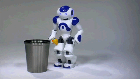 Advanced Humanoid AI Companion Robot for Adults with Multi-Sensory Interaction and Global Communication