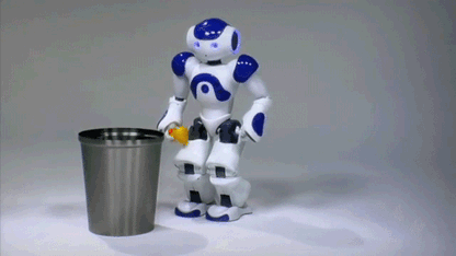 Advanced Humanoid AI Companion Robot for Adults with Multi-Sensory Interaction and Global Communication