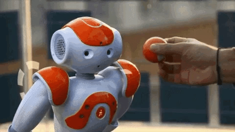 Advanced Humanoid AI Companion Robot for Adults with Multi-Sensory Interaction and Global Communication