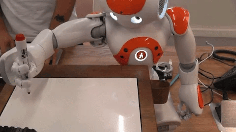 Advanced Humanoid AI Companion Robot for Adults with Multi-Sensory Interaction and Global Communication