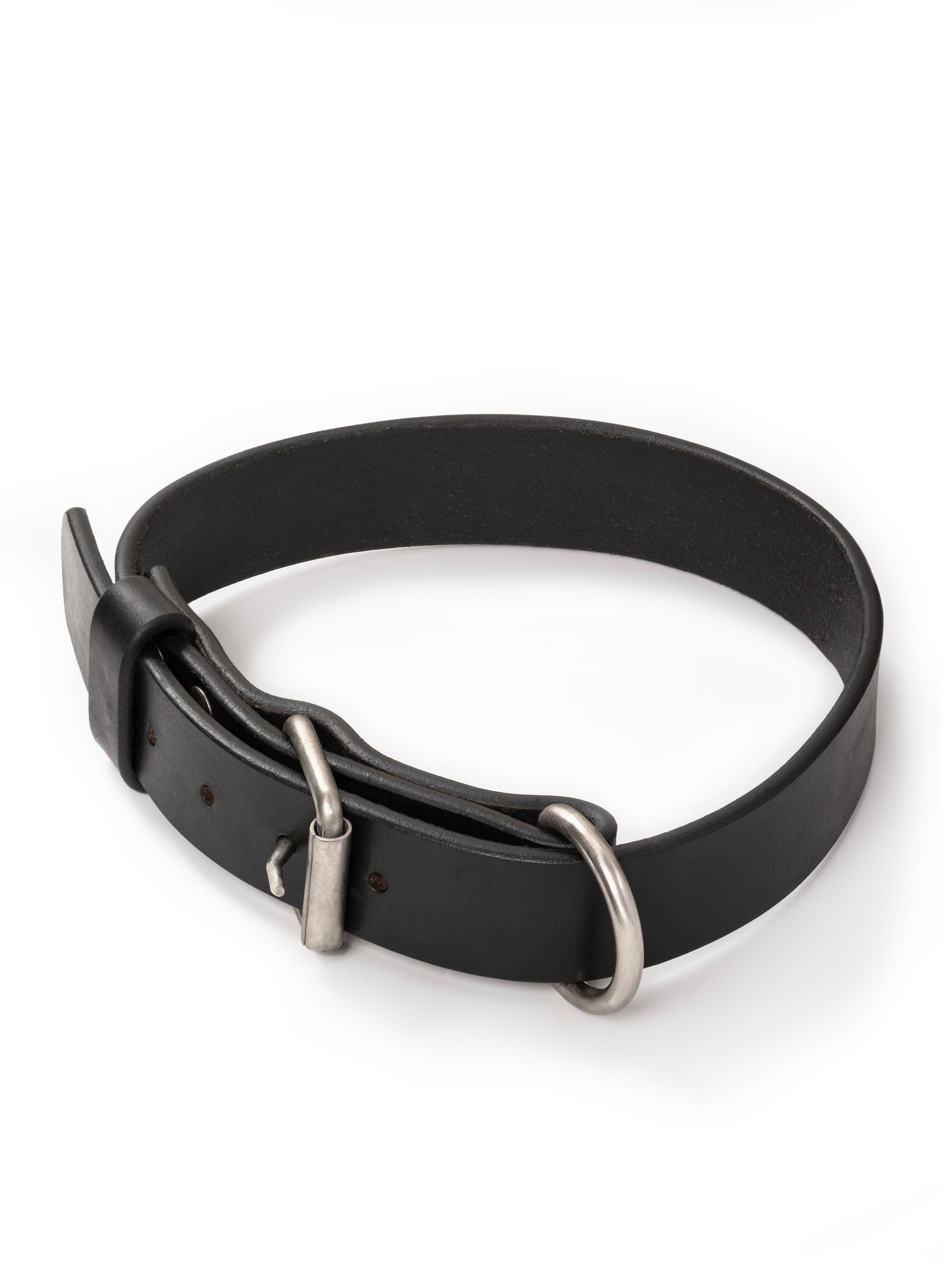 Agitation Leather Dog Collar - Tampa Home & Garden Store